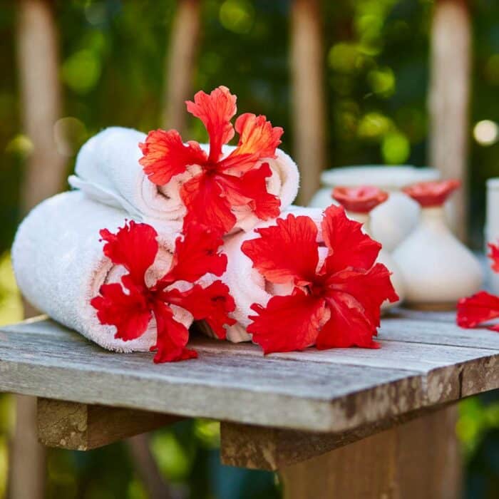 Kräuter Aktiv Cellu Gel 150ml – Bild 3