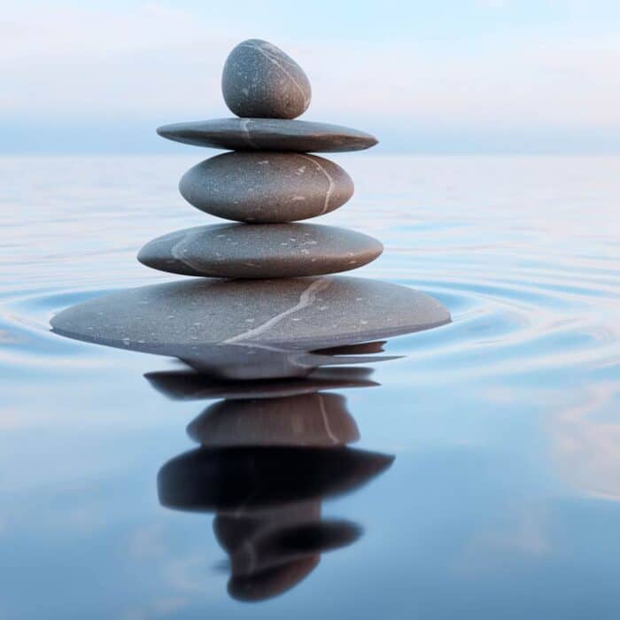 Detox Pack – Bild 2