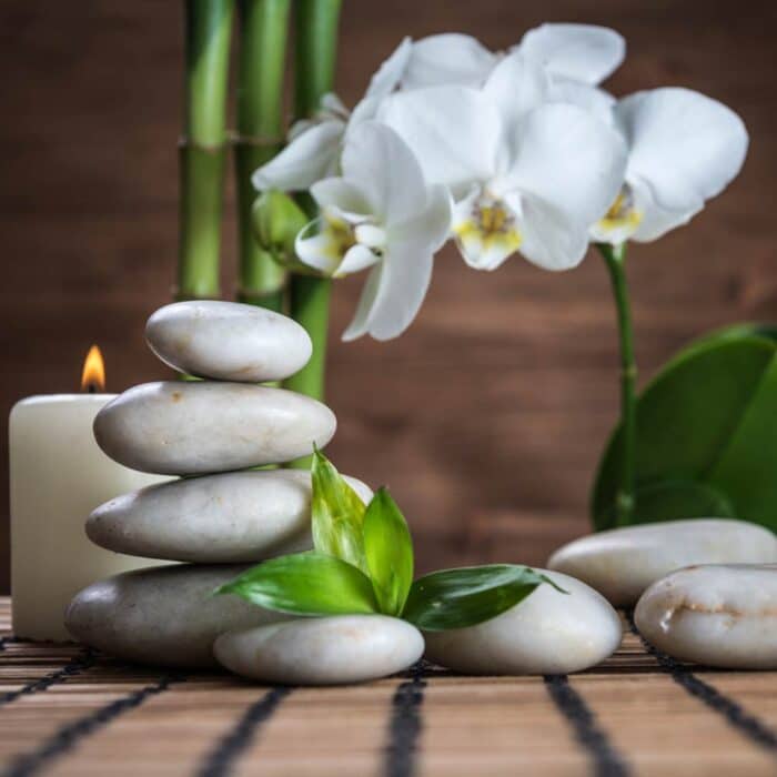 Weizenkeim Öl Pfirsich 100ml – Bild 2