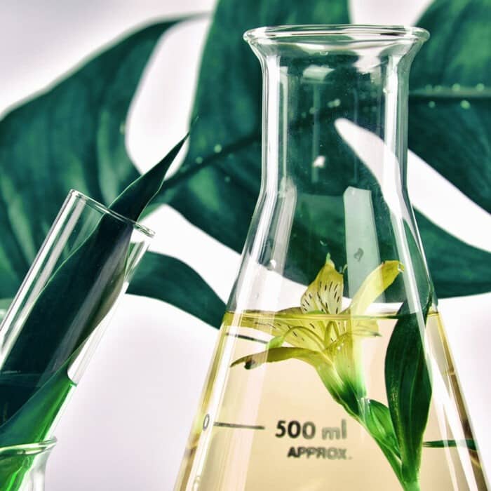 Anti Cellu Duo – Bild 3